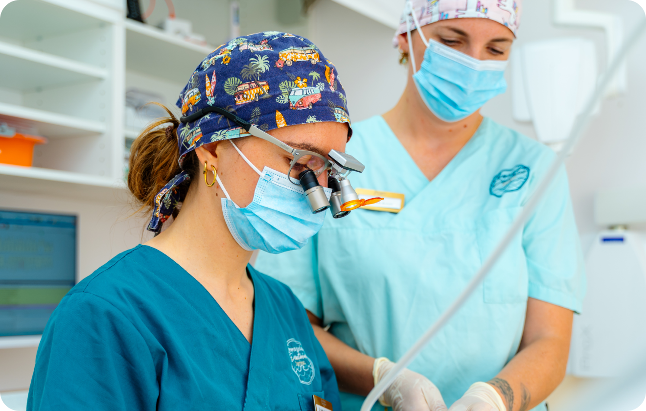 Greffe gingivale au cabinet Immersion Dentaire Carnac