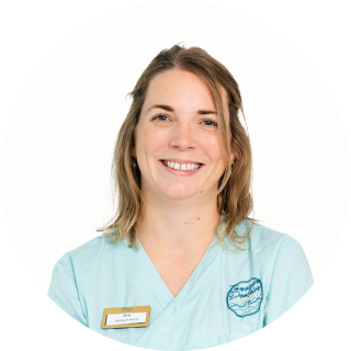 Accueil Immersion dentaire | Dentiste à Carnac