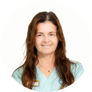 Accueil Immersion dentaire | Dentiste à Carnac